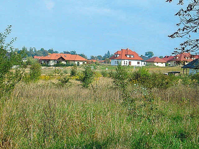 Działka przy lesie (5)