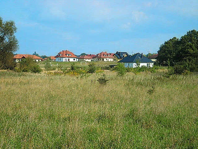 Działka przy lesie (8)