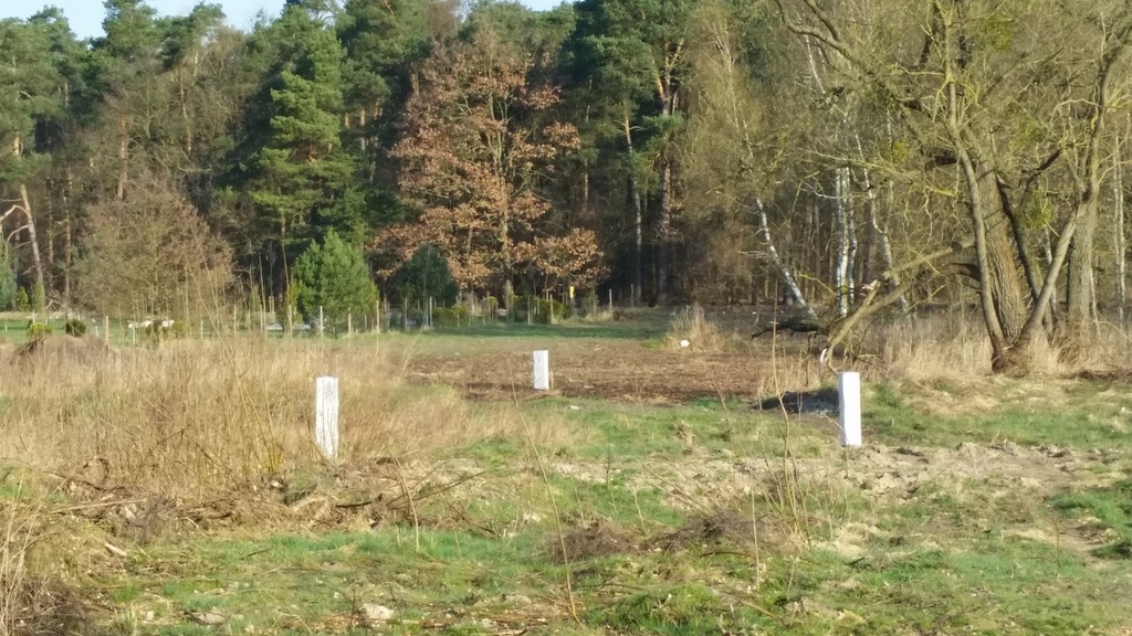 Działka przy lesie (9)