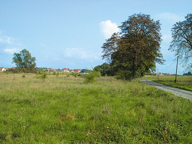 Działka przy lesie (13)