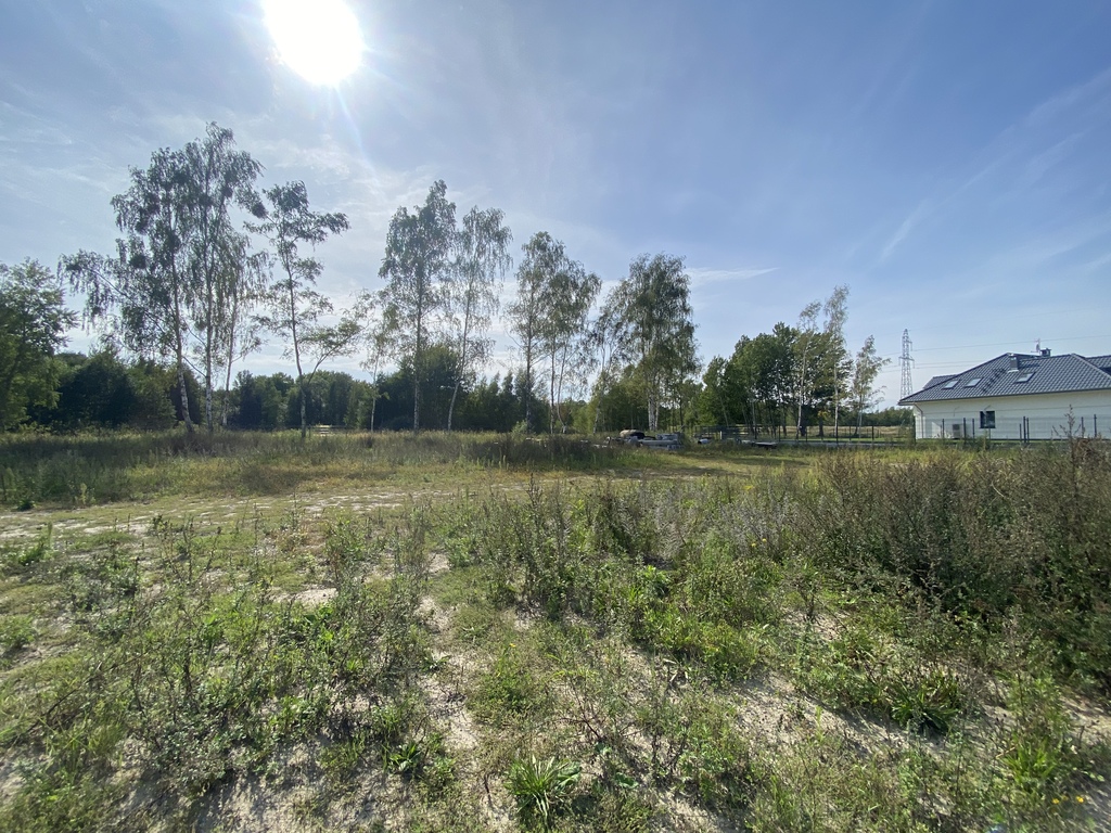 Działki budowlane w pobliżu lasu (4)