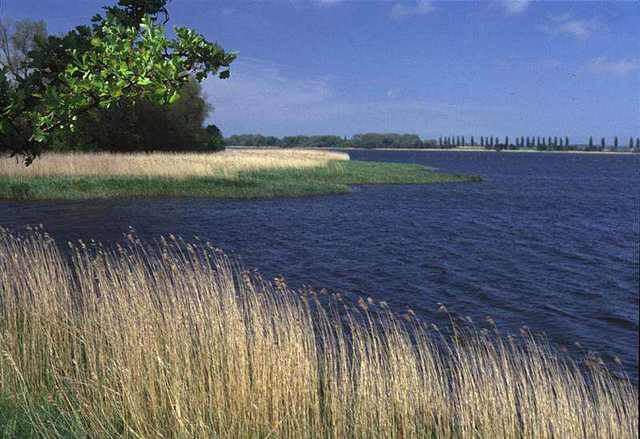 Działki nad zalewem (1)