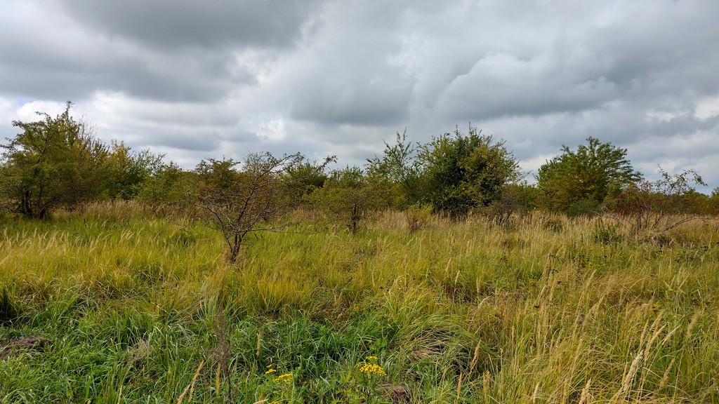 Działka w malowniczym miejscu przy jeziorach (1)