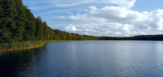 Działka rekreacyjna j. Woświn (2)