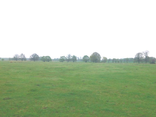 Działka pod budowę (4)