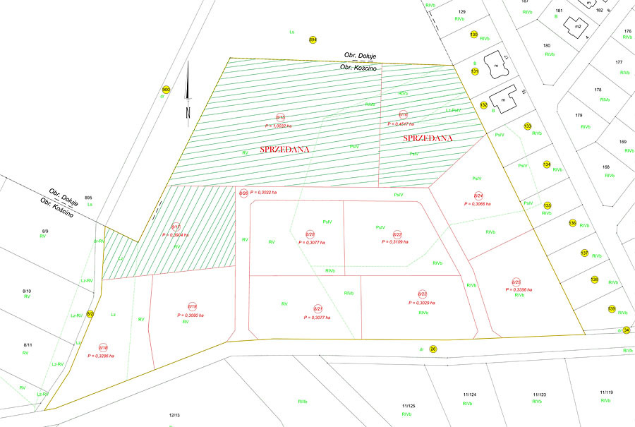 Działka z lasem (11)