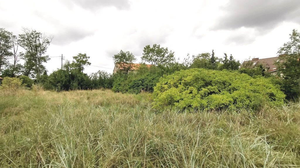 Działka przy jeziorze (5)