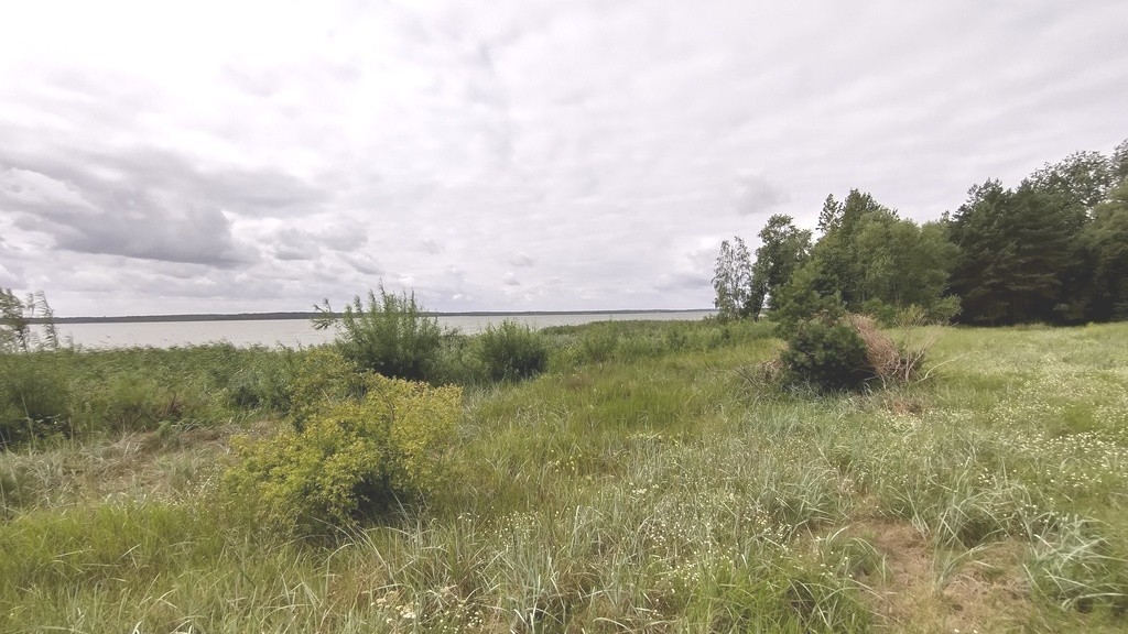Działka przy jeziorze (11)