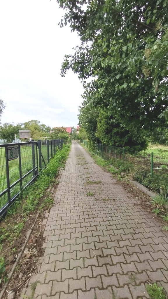 Działka przy jeziorze (12)