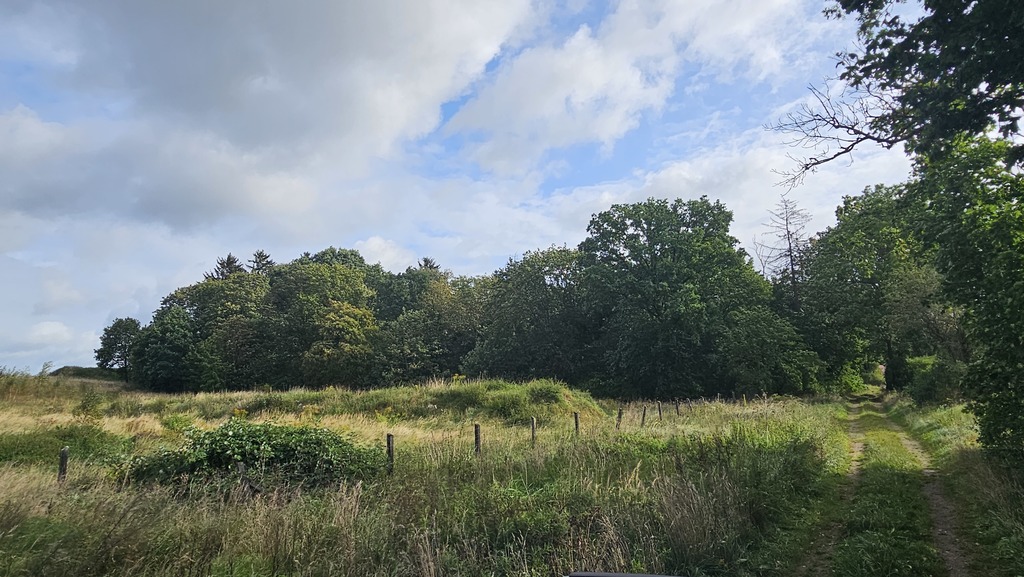 Działki Gryfice (3)