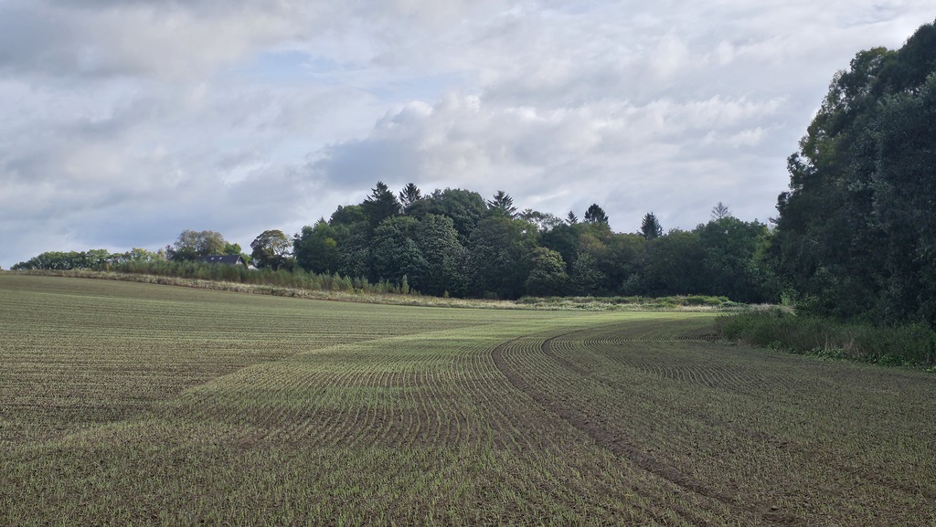 Działki Gryfice (1)