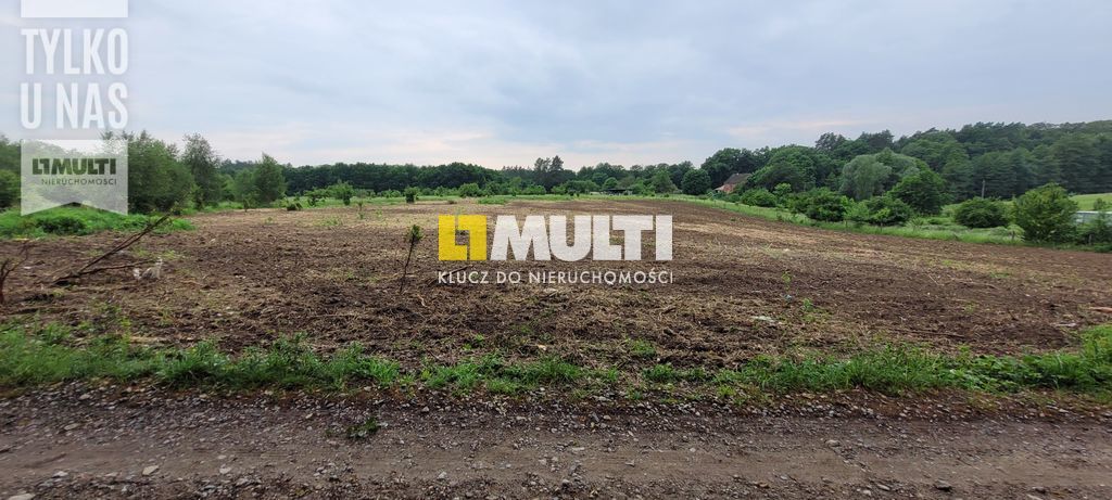 BINOWO - działka z warunkami zabudowy (4)