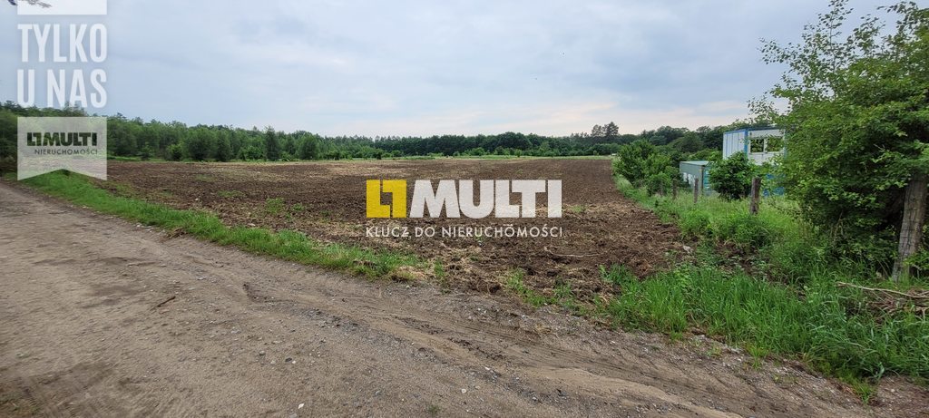 BINOWO - działka z warunkami zabudowy (9)
