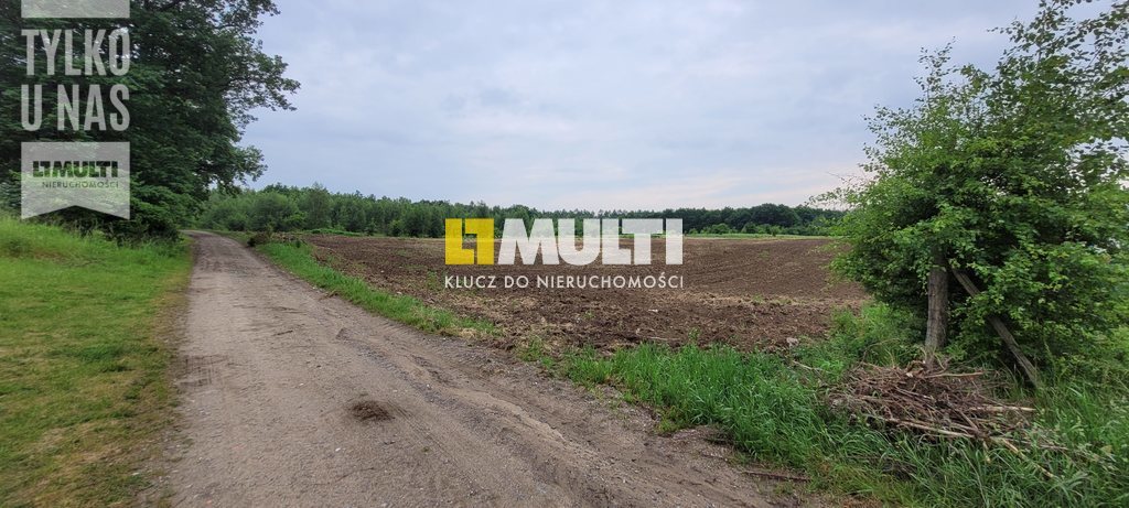 BINOWO - działka z warunkami zabudowy (2)
