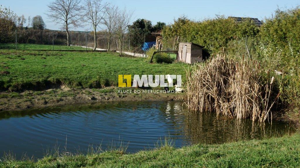 NIEDŹWIEDŹ - działka budowlana na sprzedaż (4)