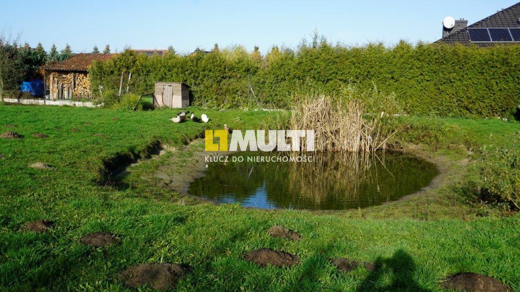 NIEDŹWIEDŹ - działka budowlana na sprzedaż (1)