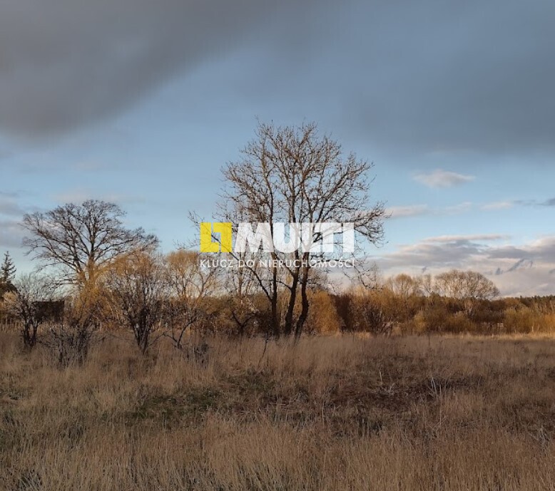 Rurzyca - mała dziaka na sprzedaż (2)