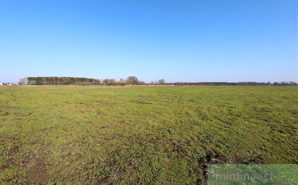 Ostatnia dzialka w kompkeksie !!! (3)