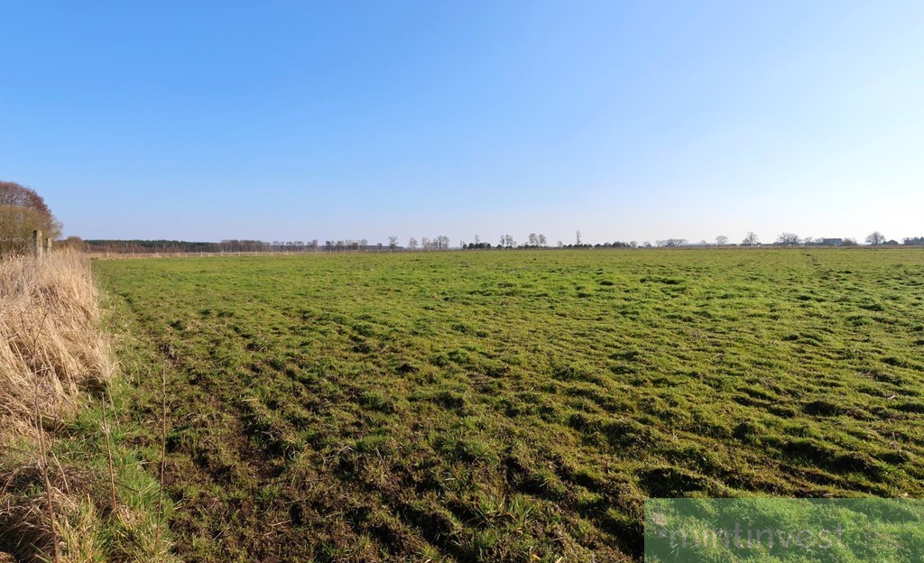 Ostatnia dzialka w kompkeksie !!! (5)