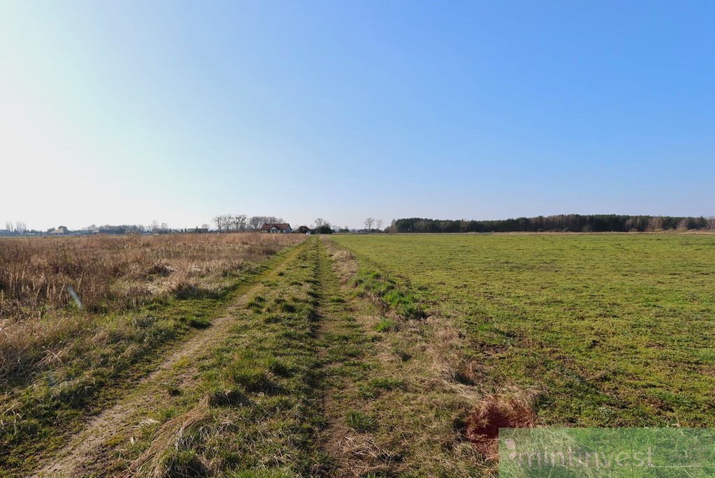 Ostatnia dzialka w kompkeksie !!! (8)