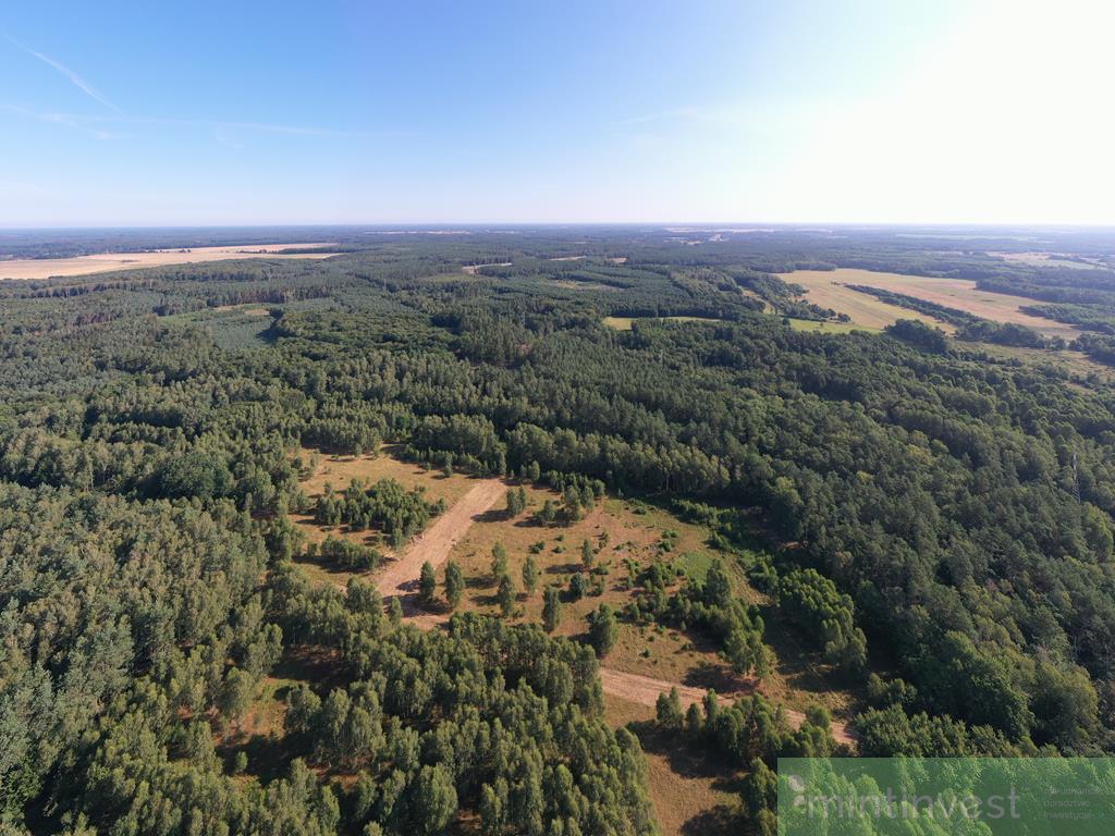 Kompleks działek budowlanych (5)