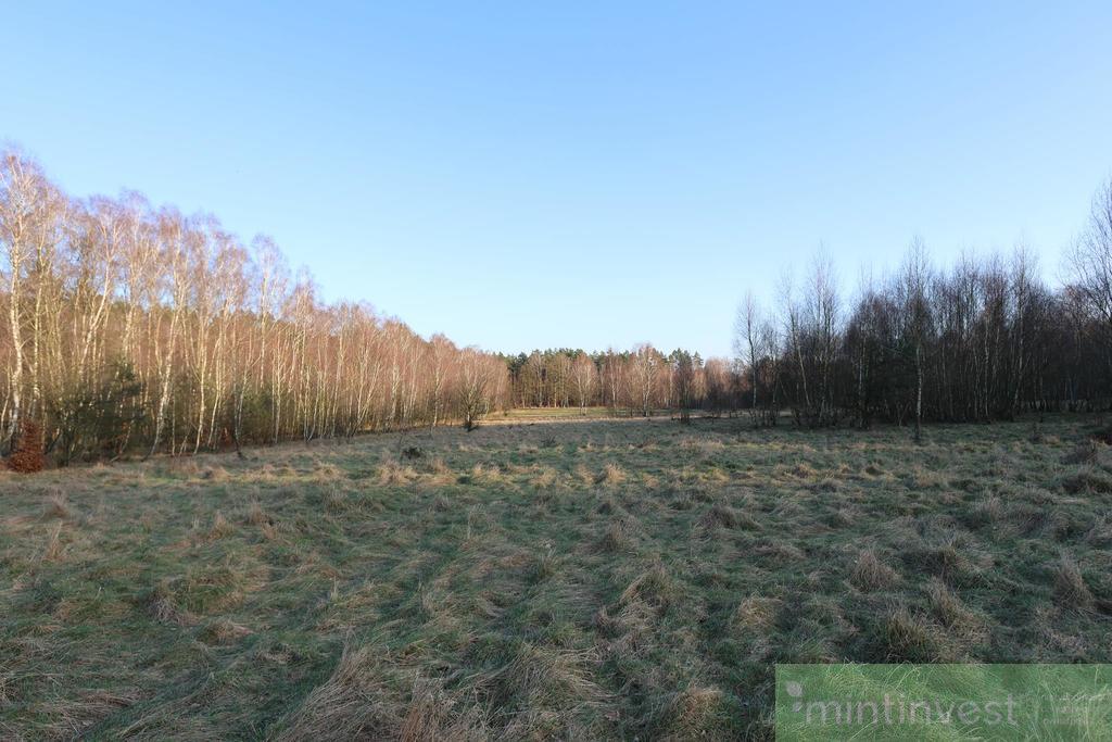 Kompleks działek budowlanych (7)