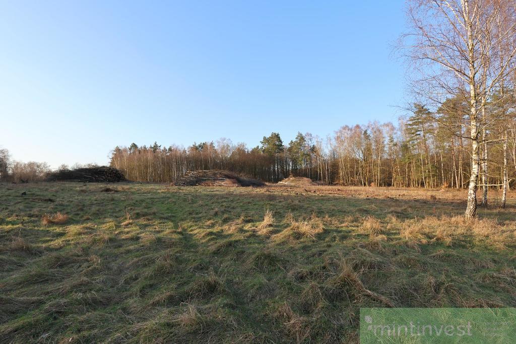 Kompleks działek budowlanych (8)
