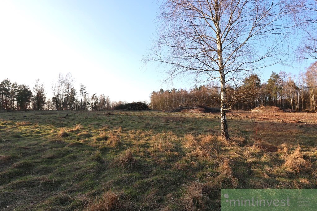 Kompleks działek budowlanych (9)