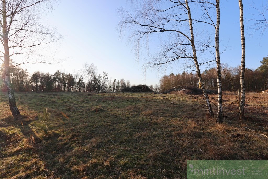 Kompleks działek budowlanych (10)