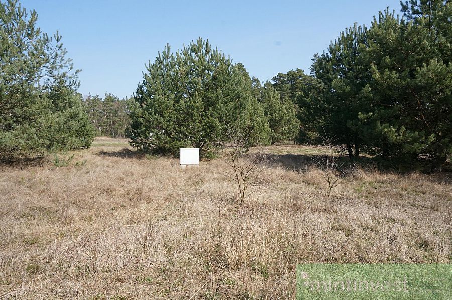 ATRAKCYJNA DZIAŁKA BUDOWLANA W RURZYCY (6)