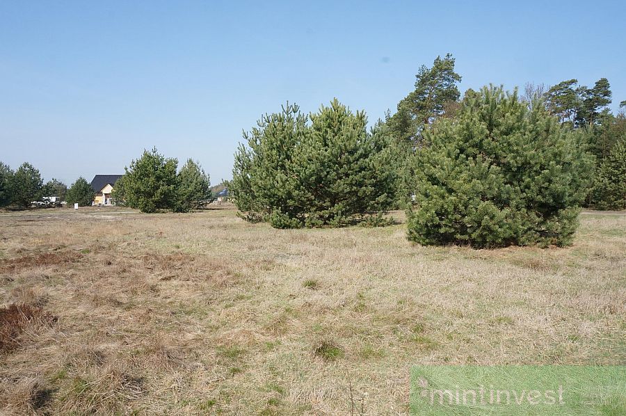 ATRAKCYJNA DZIAŁKA BUDOWLANA W RURZYCY (9)