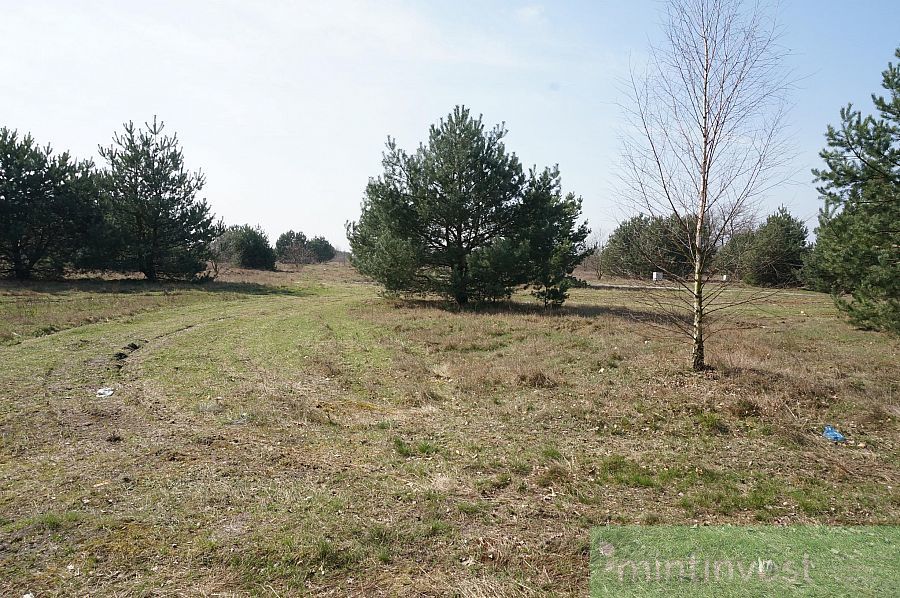 Atrakcyjna działka w Rurzycy (7)