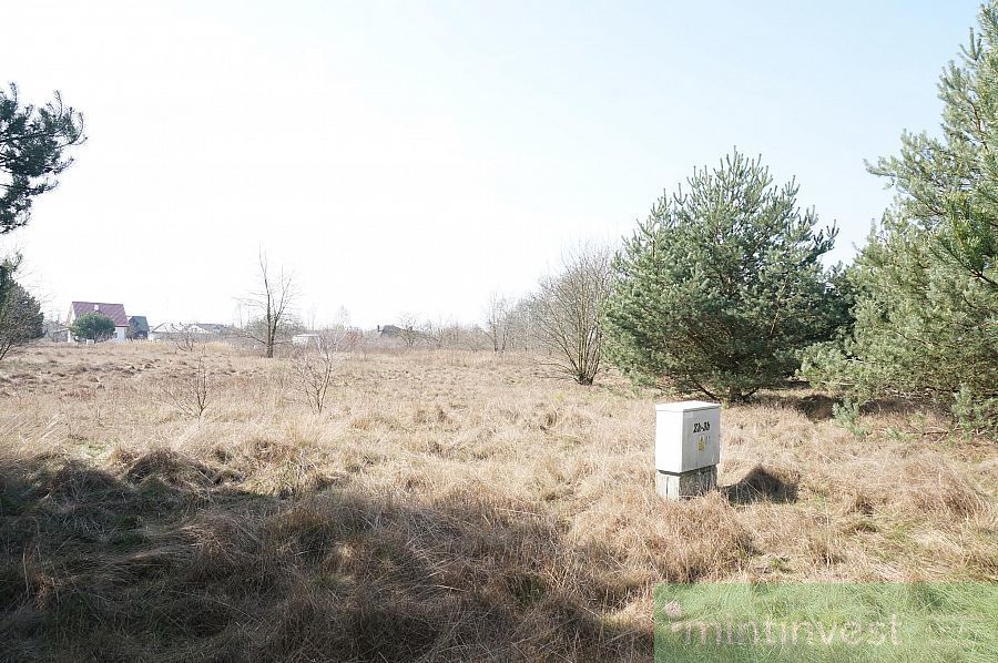 Atrakcyjna działka w Rurzycy (2)