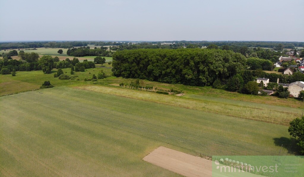 Rożnowo Nowogardzkie Działka na sprzedaż (5)