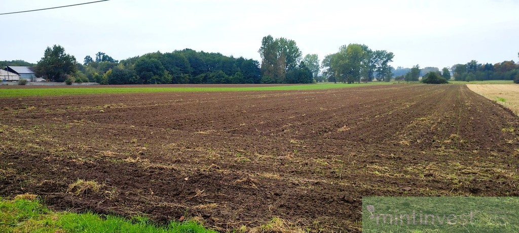 Rożnowo Nowogardzkie Działka na sprzedaż (3)