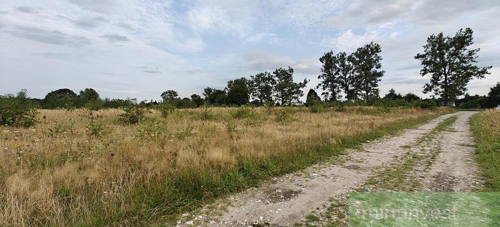 Duża działka budowlana przy drodze publicznej (6)
