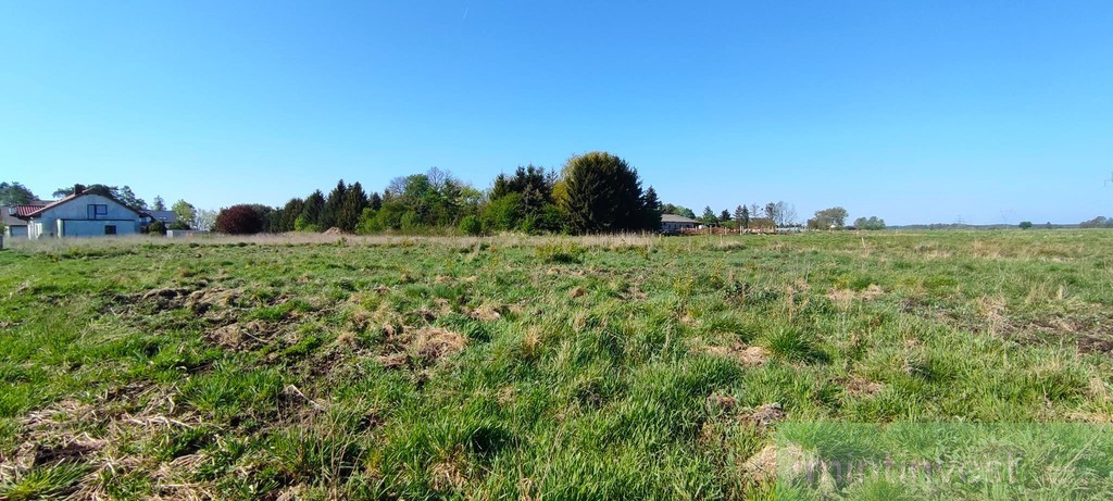 Modrzewie działka z warunkami zabudowy (8)