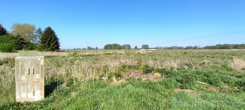 Modrzewie działka z warunkami zabudowy (2)