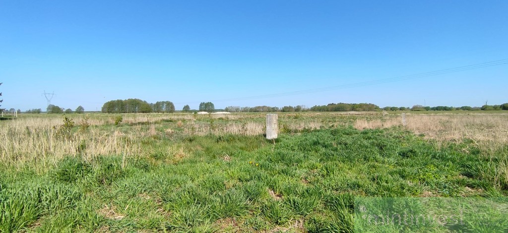 Modrzewie działka z warunkami zabudowy (5)