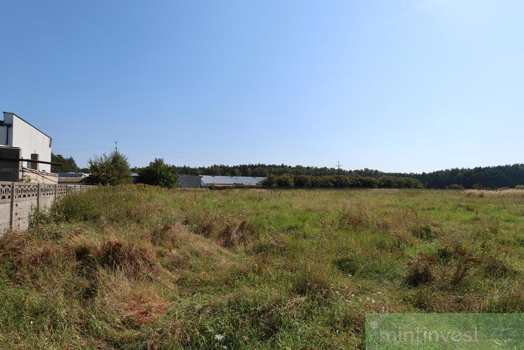 Duża działka z potencjałem inwestycyjnym-Modrzewie (5)