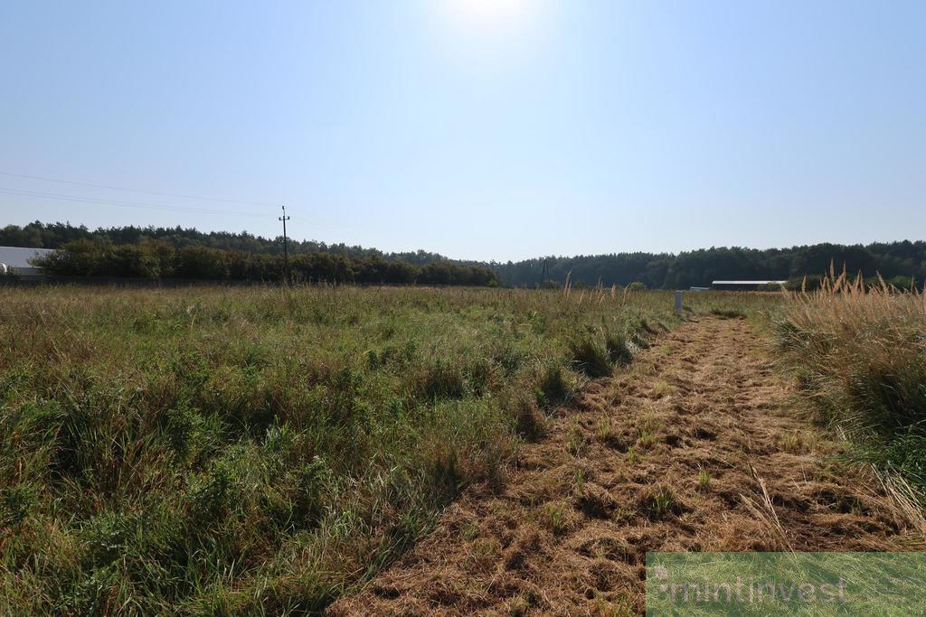 Duża działka z potencjałem inwestycyjnym-Modrzewie (6)