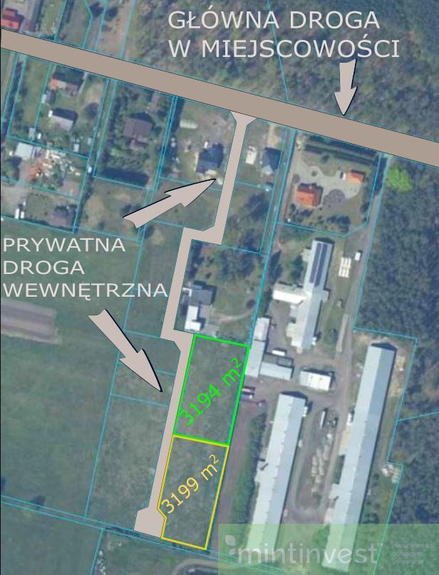 Duża działka z potencjałem inwestycyjnym-Modrzewie (4)