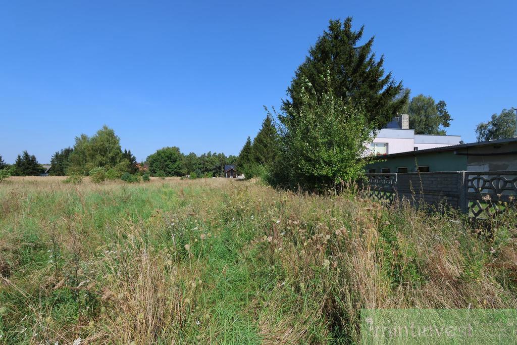 Działki w Modrzewiu (3)