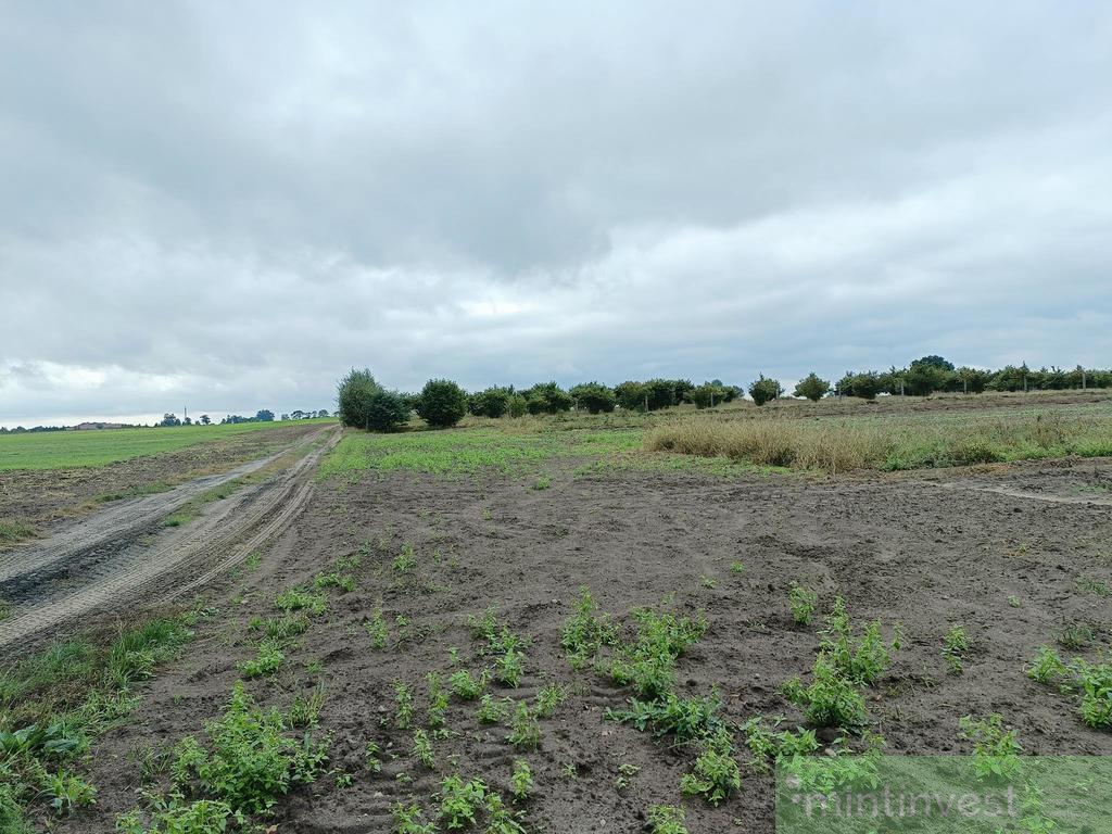 Działka budowlana z mediami !!! (9)