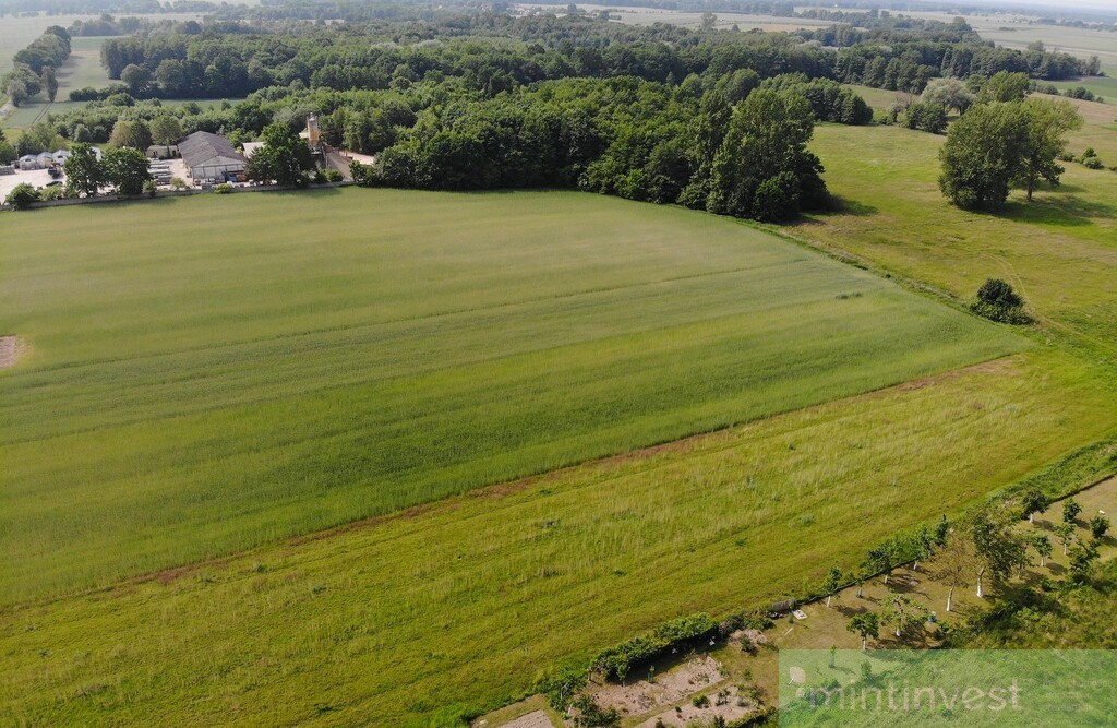 działka z warunkami zabudowy Rożnowo Nowogardzkie (3)