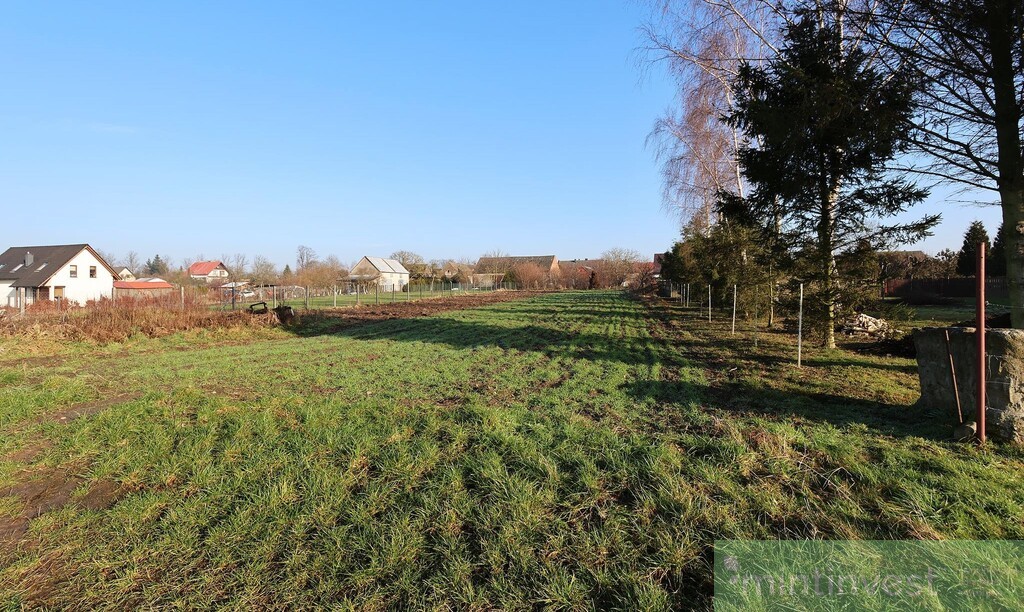 Działka budowlana Przemocze (5)