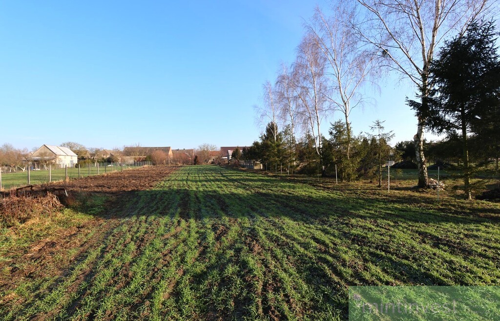 Działka budowlana Przemocze (6)