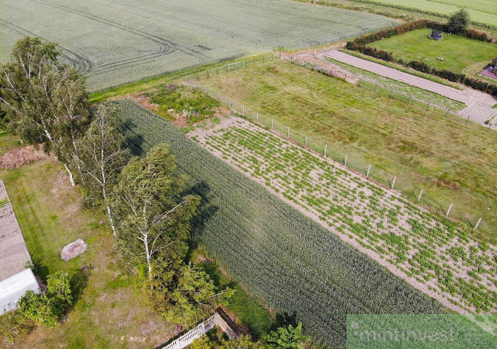 Działka budowlana Przemocze (7)