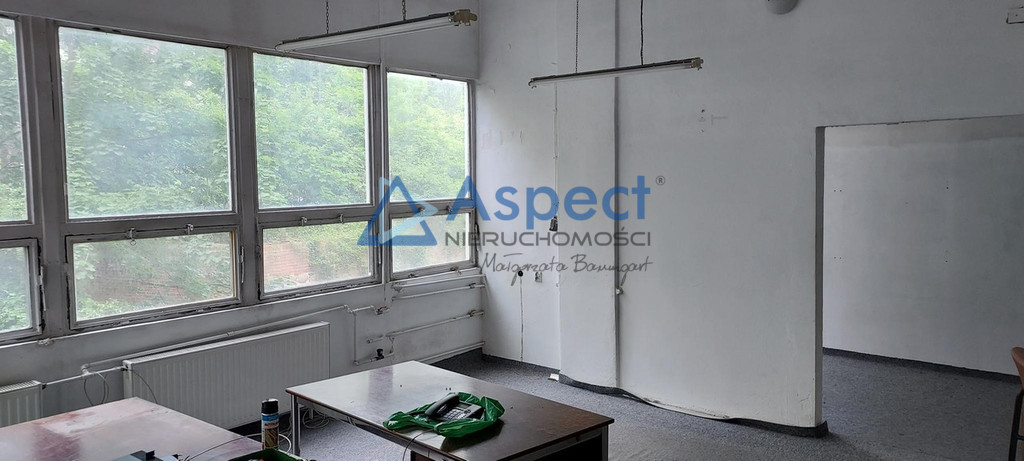 Lokal, 900 m2, 0 piętro, Szczecin Stare Miasto (4)