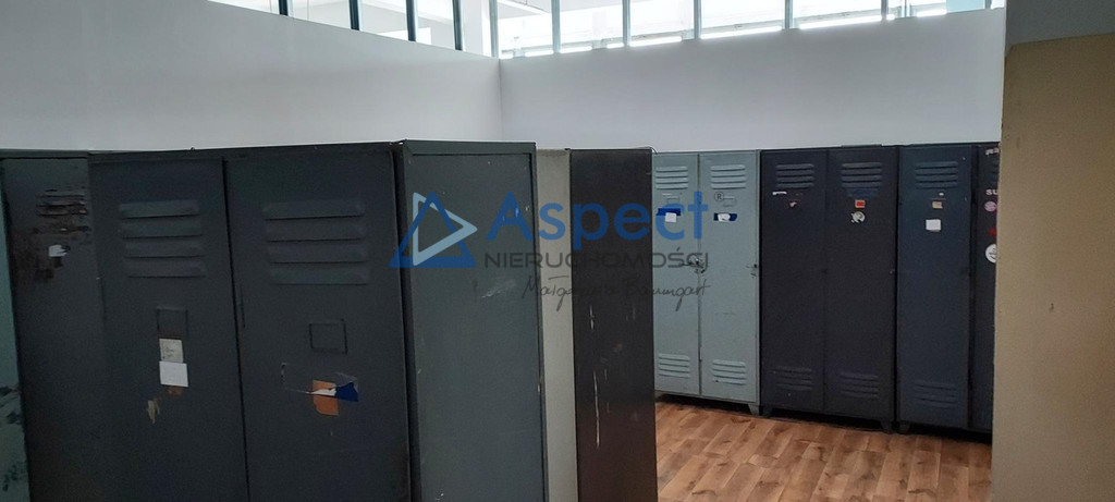 Lokal, 900 m2, 0 piętro, Szczecin Stare Miasto (5)